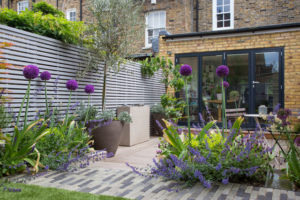 RENOVATE YOUR GARDEN ON A BUDGET